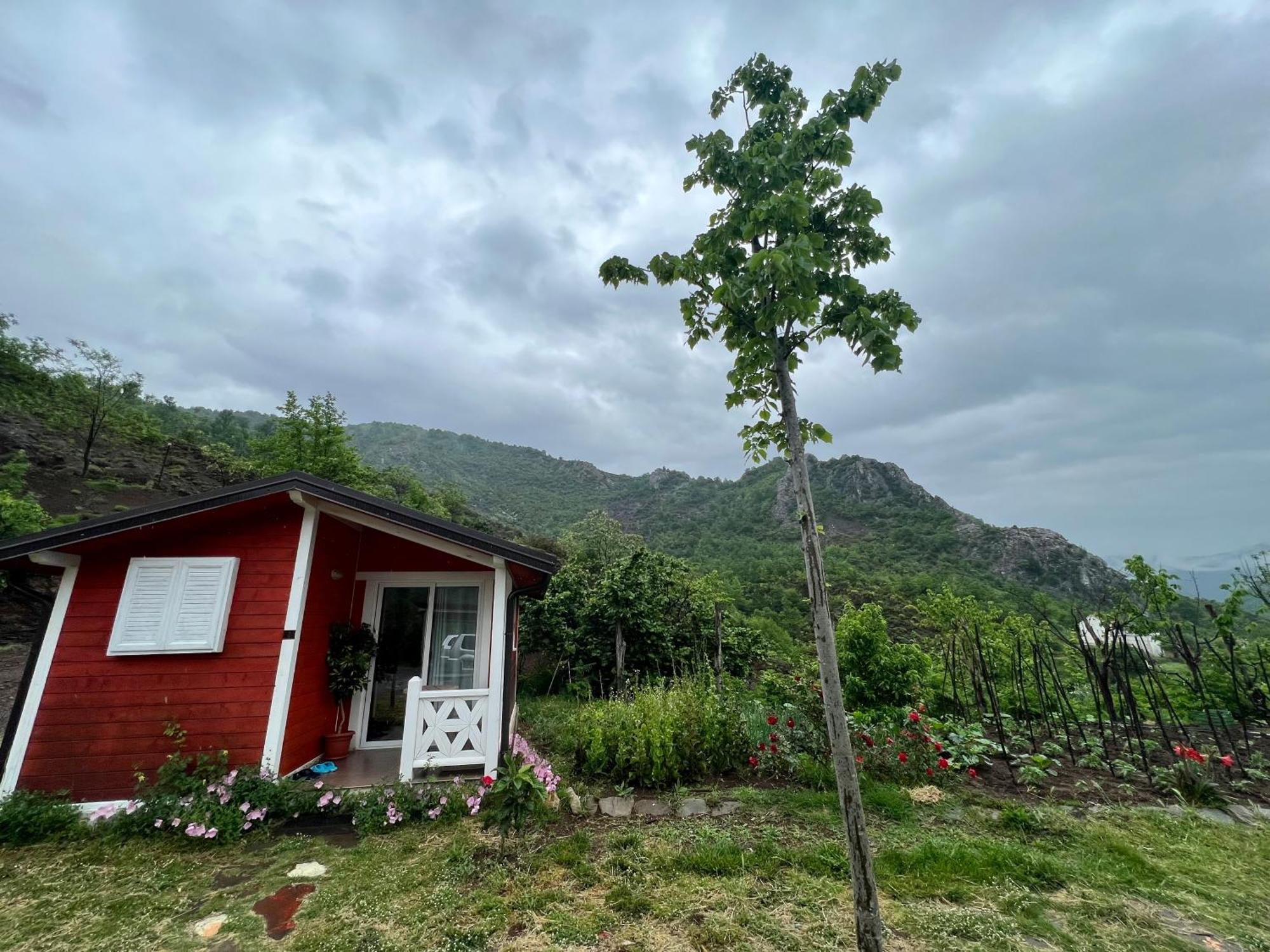Baven -Toven Naturae Rubik Luaran gambar